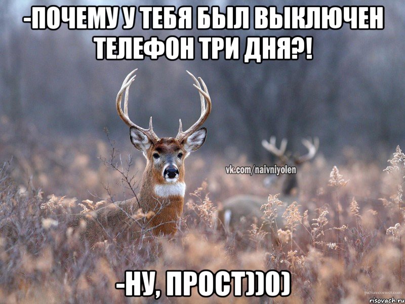 -Почему у тебя был выключен телефон три дня?! -Ну, прост))0), Мем   Наивный олень