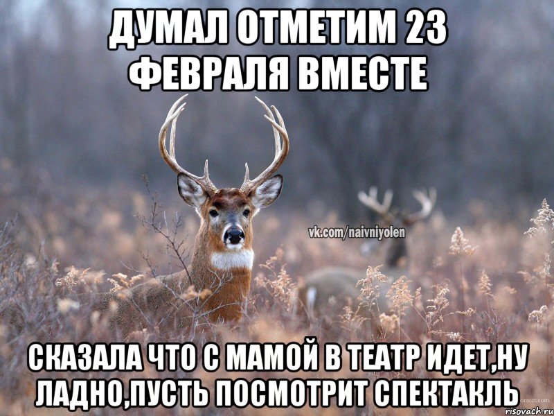 думал отметим 23 февраля вместе сказала что с мамой в театр идет,ну ладно,пусть посмотрит спектакль, Мем   Наивный олень