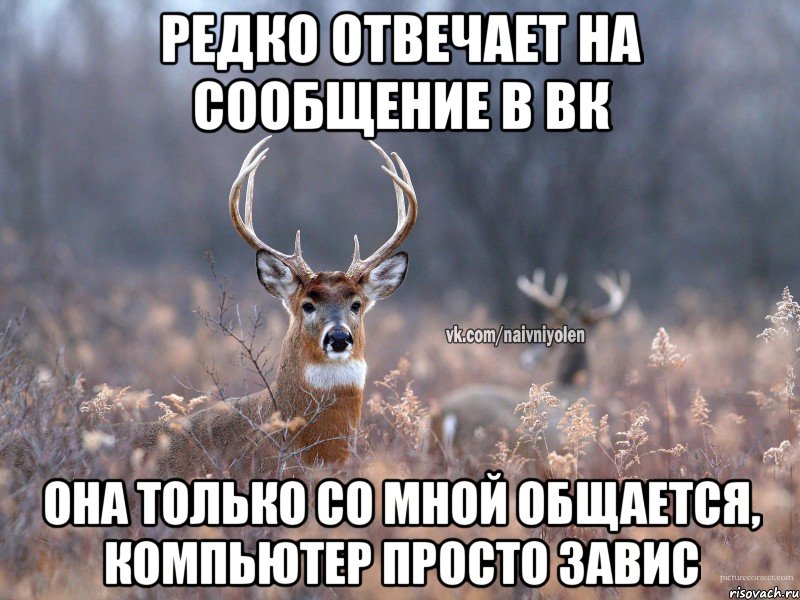 Редко отвечает на сообщение в вк Она только со мной общается, компьютер просто завис