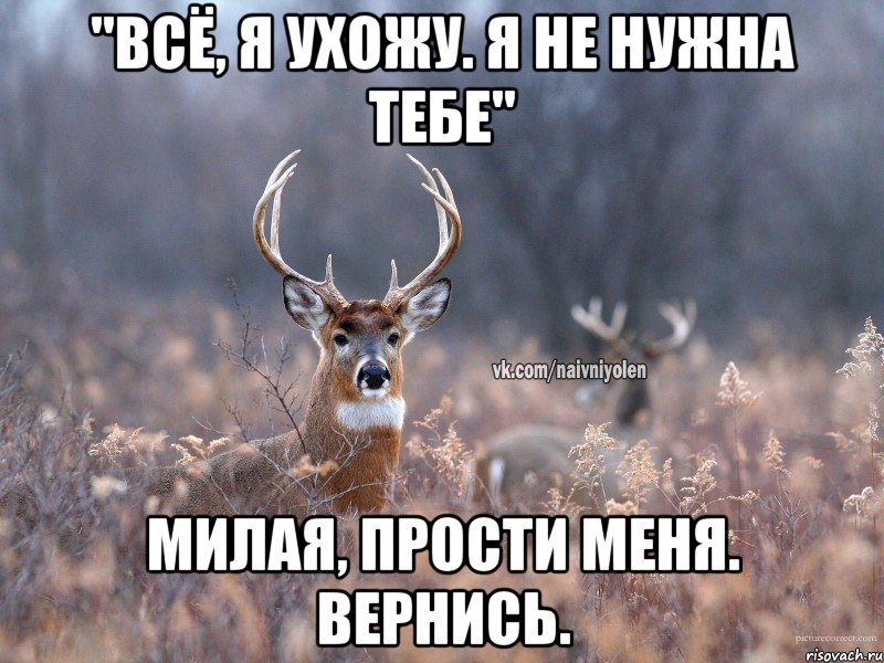 "Всё, я ухожу. Я не нужна тебе" Милая, прости меня. Вернись., Мем   Наивный олень