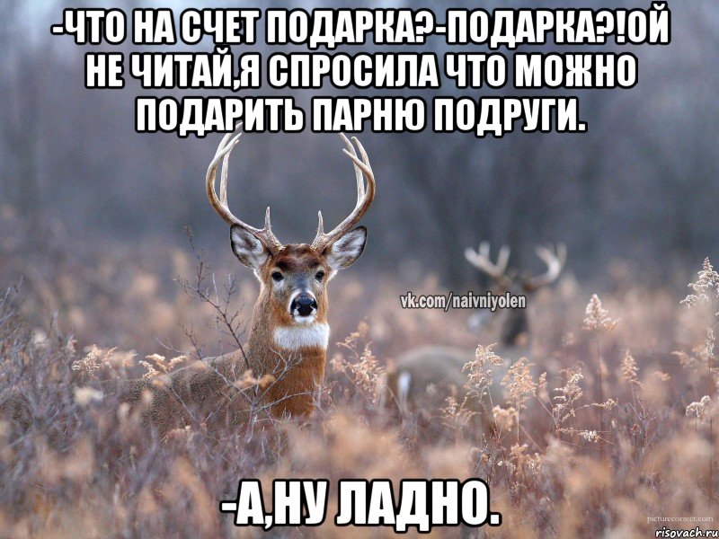 -Что на счет подарка?-Подарка?!Ой не читай,я спросила что можно подарить парню подруги. -А,ну ладно., Мем   Наивный олень