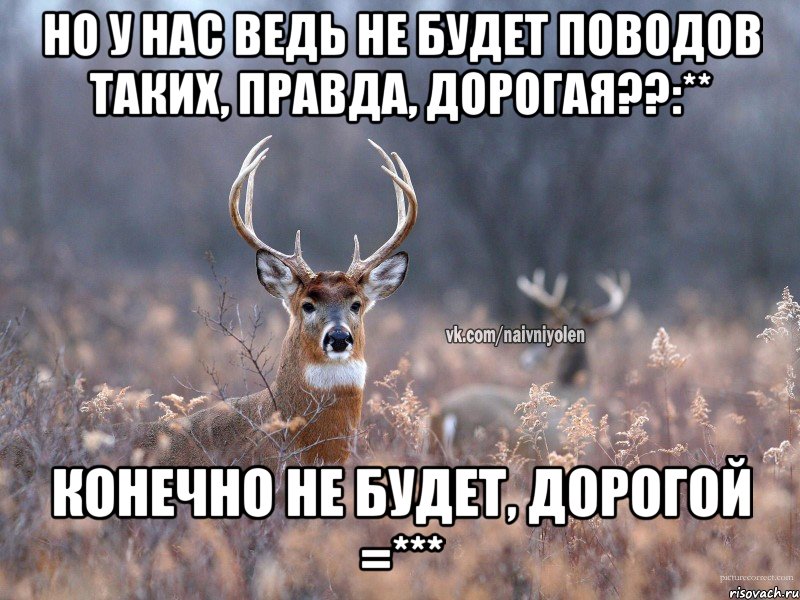 Но у нас ведь не будет поводов таких, правда, дорогая??:** конечно не будет, дорогой =***, Мем   Наивный олень