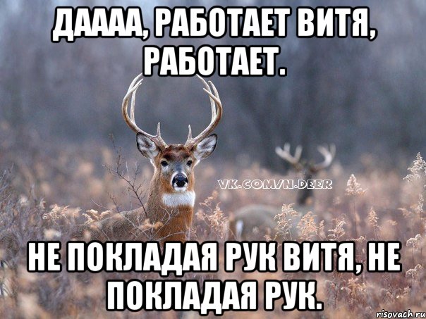 Даааа, работает Витя, работает. Не покладая рук Витя, не покладая рук., Мем   Наивный олень