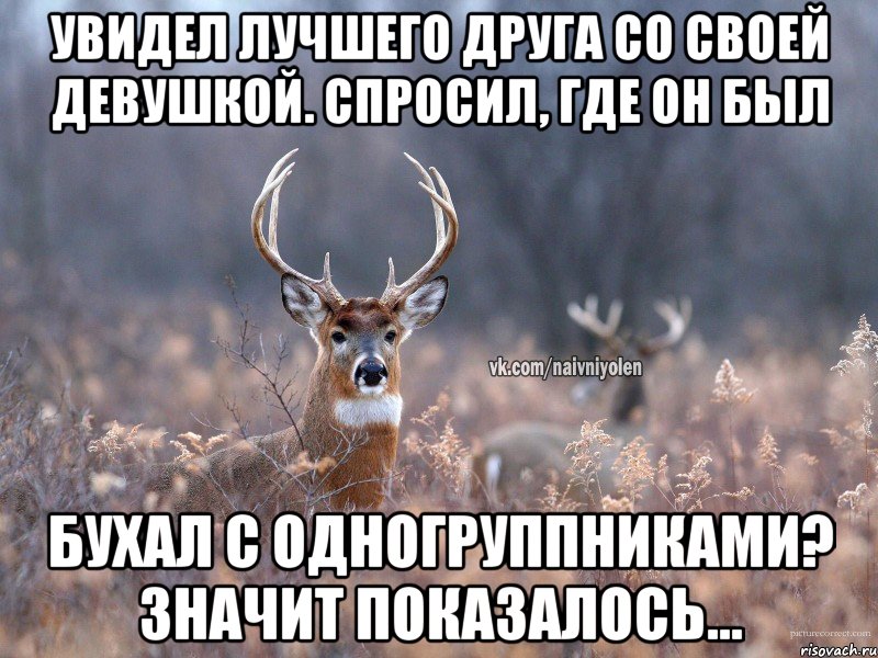 Увидел лучшего друга со своей девушкой. Спросил, где он был Бухал с одногруппниками? Значит показалось..., Мем   Наивный олень