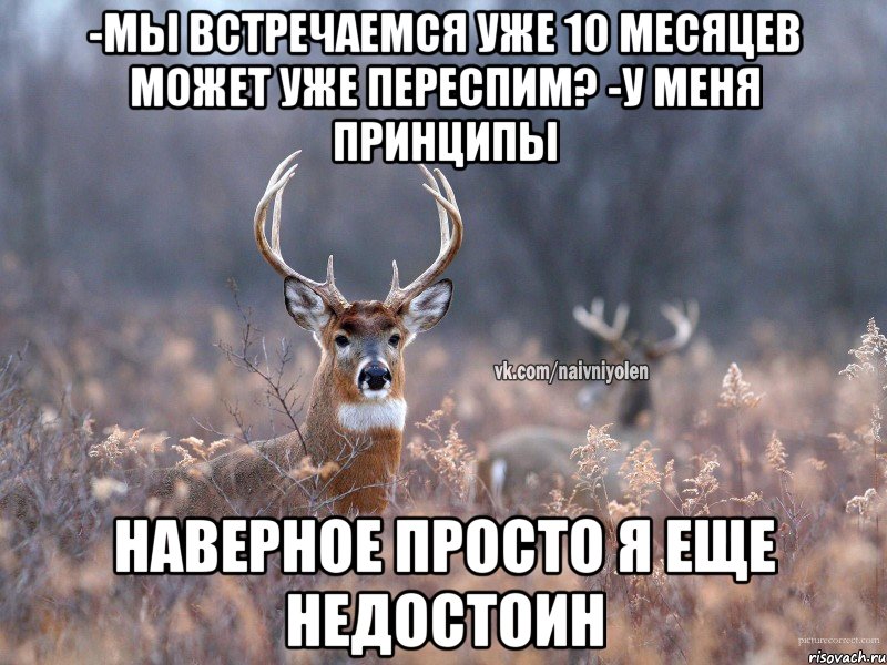 -Мы встречаемся уже 10 месяцев может уже переспим? -У меня принципы Наверное просто я еще недостоин, Мем   Наивный олень