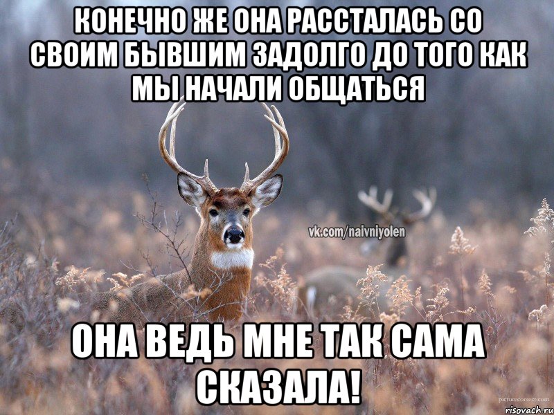 Конечно же она рассталась со своим бывшим задолго до того как мы начали общаться Она ведь мне так сама сказала!