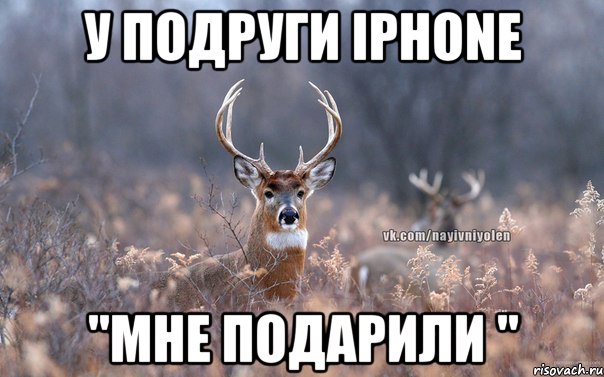 у подруги iPhone "Мне подарили ", Мем   Наивный олень