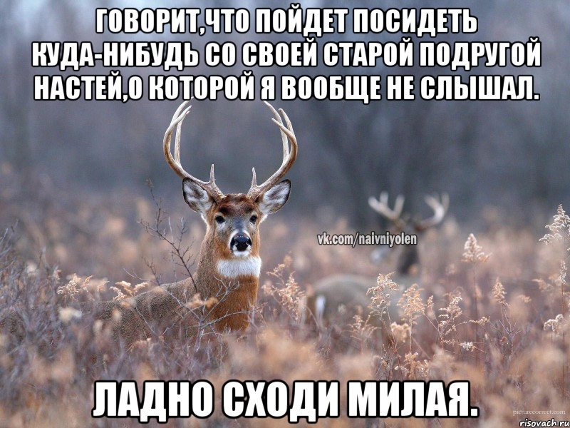 Говорит,что пойдет посидеть куда-нибудь со своей старой подругой Настей,о которой я вообще не слышал. Ладно сходи милая., Мем   Наивный олень