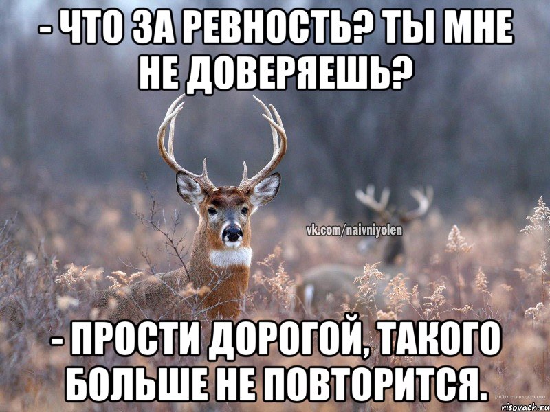 - Что за ревность? Ты мне не доверяешь? - Прости дорогой, такого больше не повторится., Мем   Наивный олень