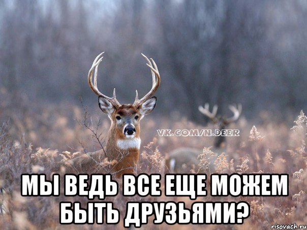  МЫ ВЕДЬ ВСЕ ЕЩЕ МОЖЕМ БЫТЬ ДРУЗЬЯМИ?, Мем   Наивный олень