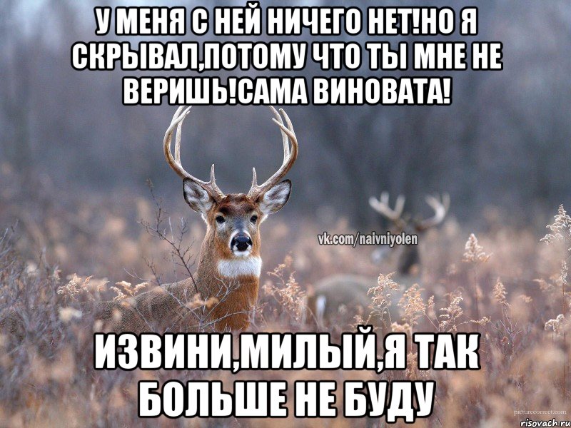 У меня с ней ничего нет!Но я скрывал,потому что ты мне не веришь!Сама виновата! Извини,милый,я так больше не буду, Мем   Наивный олень