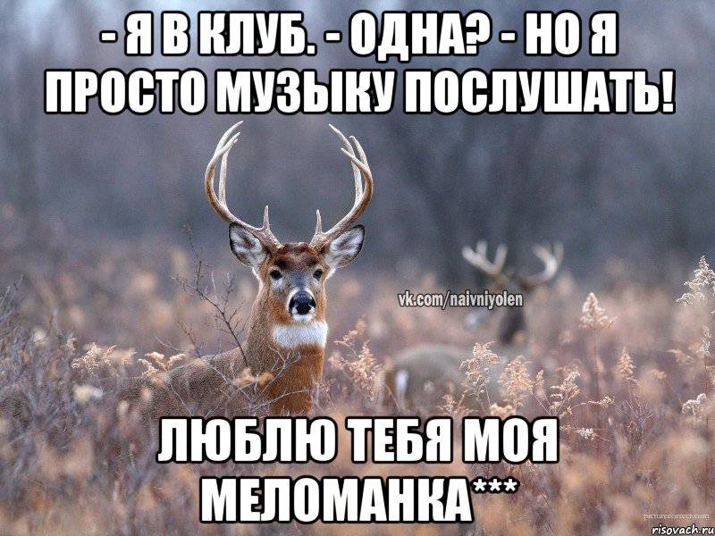 - Я в клуб. - Одна? - Но я просто музыку послушать! Люблю тебя моя меломанка***, Мем   Наивный олень