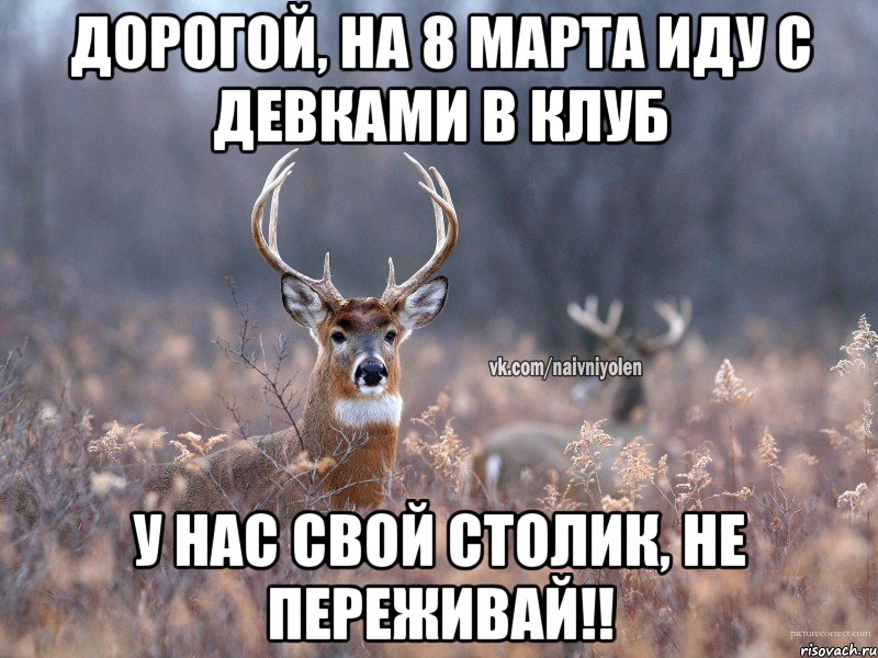 Дорогой, на 8 марта иду с девками в клуб У нас свой столик, не переживай!!, Мем   Наивный олень