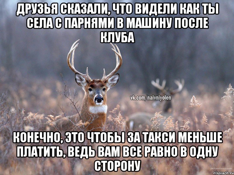 Друзья сказали, что видели как ты села с парнями в машину после клуба Конечно, это чтобы за такси меньше платить, ведь вам все равно в одну сторону, Мем   Наивный олень