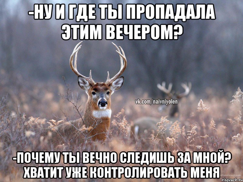 -Ну и где ты пропадала этим вечером? -Почему ты вечно следишь за мной? хватит уже контролировать меня, Мем   Наивный олень