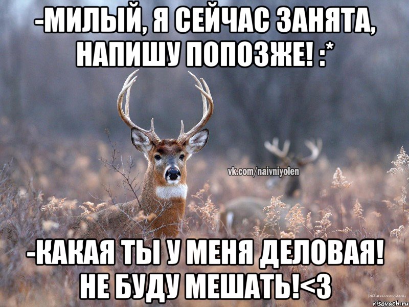 -Милый, я сейчас занята, напишу попозже! :* -Какая ты у меня деловая! не буду мешать!<3, Мем   Наивный олень