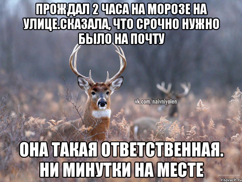 Прождал 2 часа на морозе на улице.Сказала, что срочно нужно было на почту Она такая ответственная. Ни минутки на месте, Мем   Наивный олень