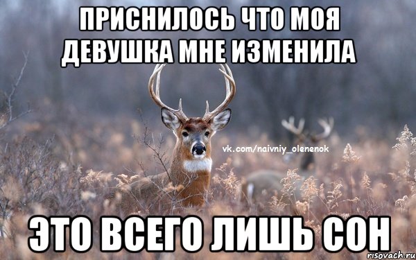 Приснилось что моя девушка мне изменила Это всего лишь сон