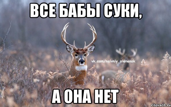 Все бабы суки, А она нет