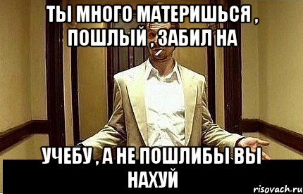 ты много материшься , пошлый , забил на учебу , а не пошлибы вы нахуй, Мем Ну чо