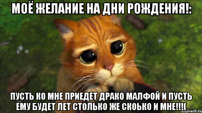 МОЁ ЖЕЛАНИЕ НА ДНИ РОЖДЕНИЯ!: ПУСТЬ КО МНЕ ПРИЕДЕТ ДРАКО МАЛФОЙ И ПУСТЬ ЕМУ БУДЕТ ЛЕТ СТОЛЬКО ЖЕ СКОЬКО И МНЕ!!!(