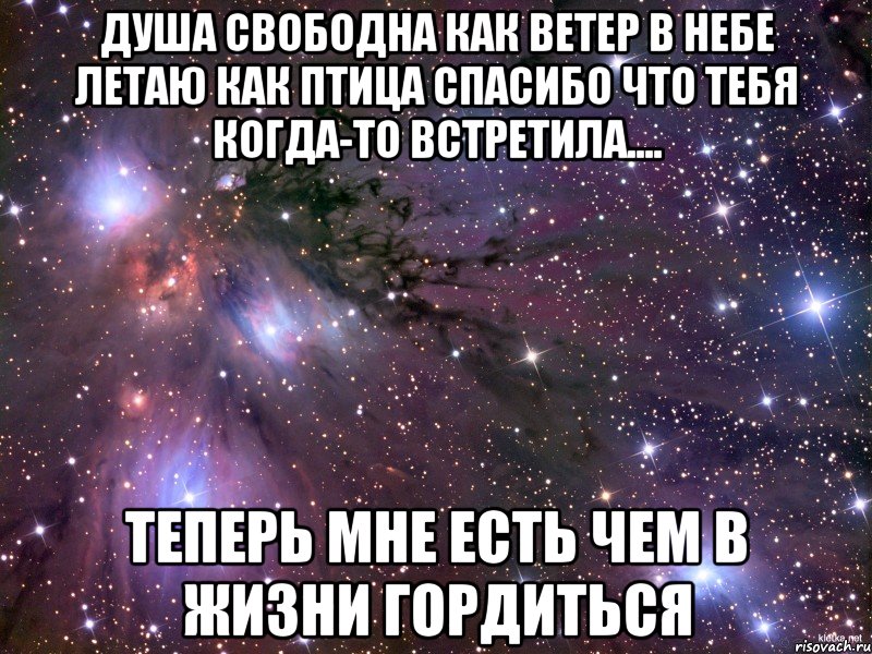 Песня душа вольная. Душа свободна как ветер в небе летаю как птица. Свободна как. Спасибо что я встретила тебя. Статус о свободна как птица.