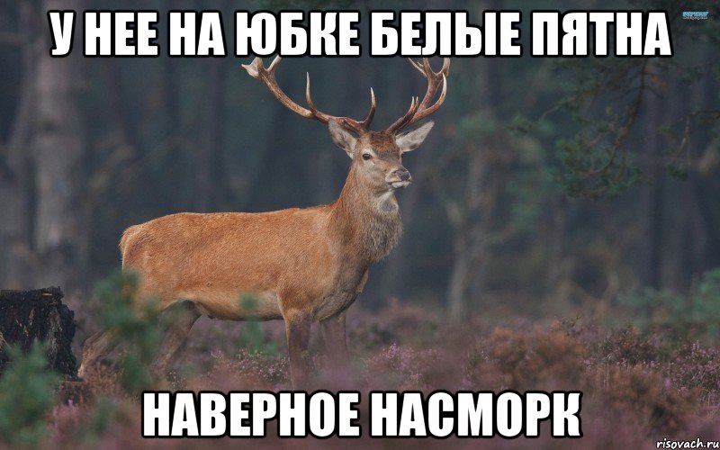 у нее на юбке белые пятна наверное насморк