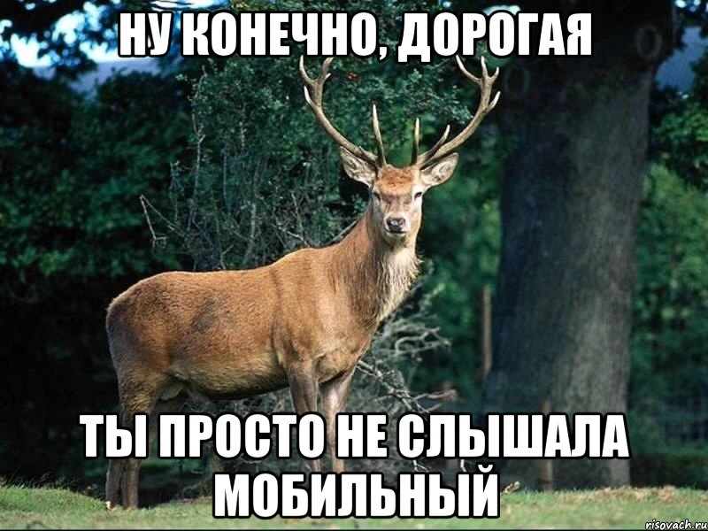 Мужчина олень фото