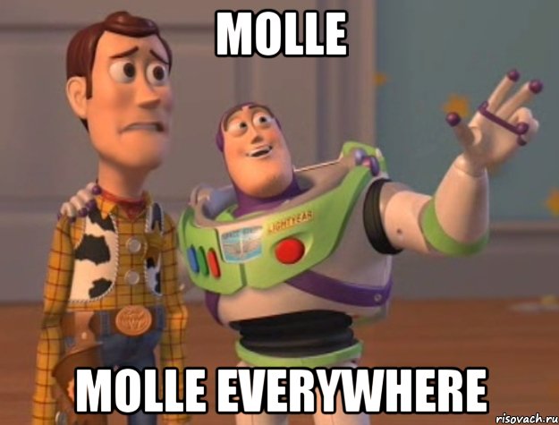 MOLLE MOLLE EVERYWHERE, Мем Они повсюду (История игрушек)