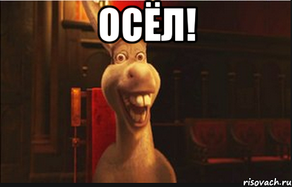 ОСЁЛ! 