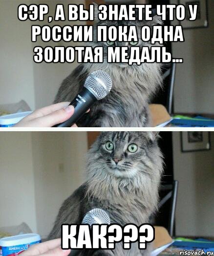 Сэр, а Вы знаете что у России пока одна золотая медаль... КАК???, Комикс  кот с микрофоном