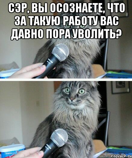 Сэр, вы осознаете, что за такую работу вас давно пора уволить? , Комикс  кот с микрофоном