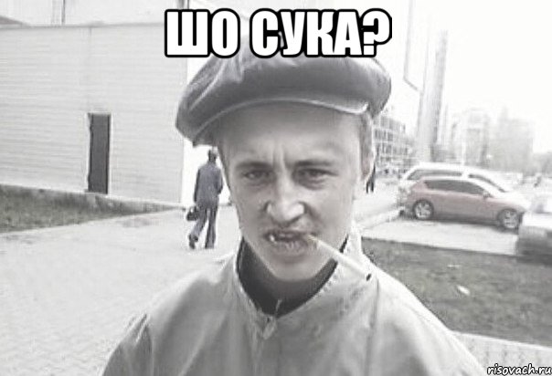 ШО СУКА? , Мем Пацанська философия