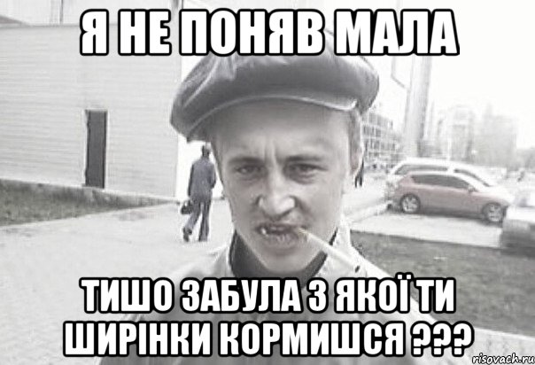 Я НЕ ПОНЯВ МАЛА ТИШО ЗАБУЛА З ЯКОЇ ТИ ШИРІНКИ КОРМИШСЯ ???, Мем Пацанська философия