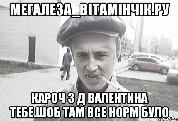 мегаЛеза_вітамінчік.ру кароч з д Валентина тебе.шоб там все норм було, Мем Пацанська философия