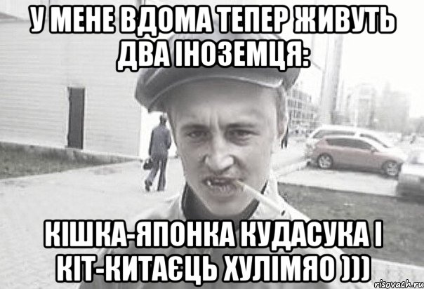 У мене вдома тепер живуть два іноземця: кішка-японка КуДасуКа і кіт-китаєць ХуЛіМяО ))), Мем Пацанська философия