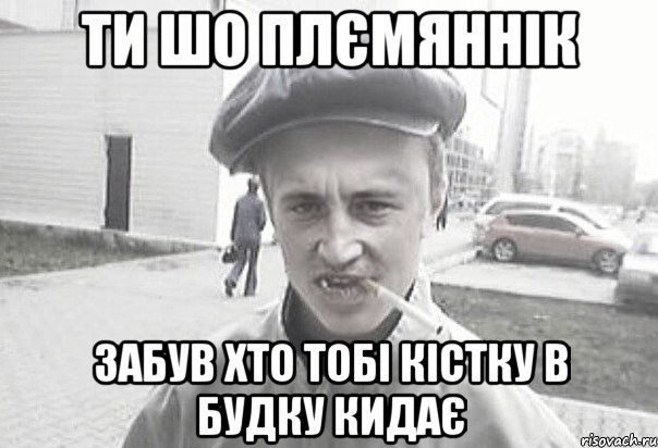 Ти шо плємяннік забув хто тобі кістку в будку кидає, Мем Пацанська философия