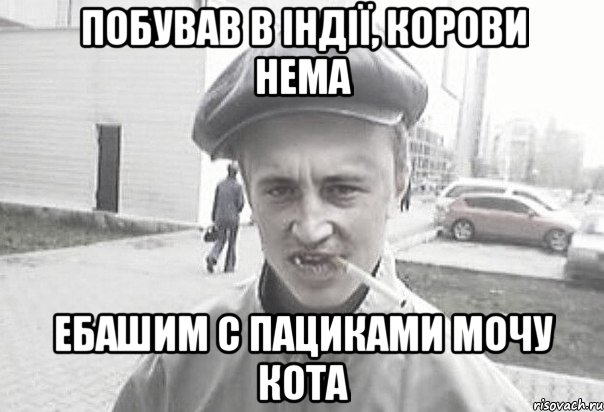 побував в Індії, корови нема ебашим с пациками мочу кота, Мем Пацанська философия