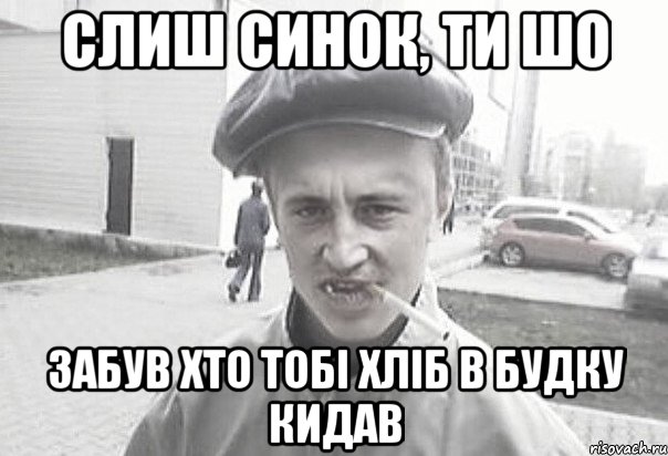 слиш синок, ти шо забув хто тобі хліб в будку кидав, Мем Пацанська философия