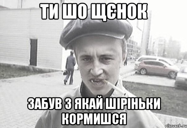 ти шо щєнок забув з якай шіріньки кормишся, Мем Пацанська философия