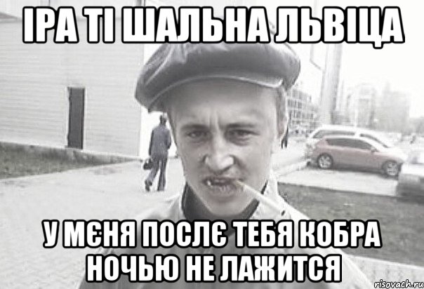 Іра ті шальна львіца у мєня послє тебя кобра ночью не лажится, Мем Пацанська философия