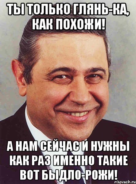 Ты только глянь-ка, как похожи! А нам сейчас и нужны как раз именно такие вот быдло-рожи!, Мем петросян