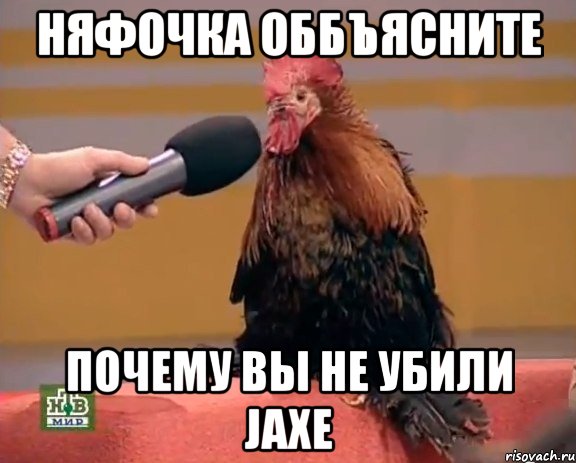 Няфочка оббъясните Почему вы не убили Jaxe, Мем петух