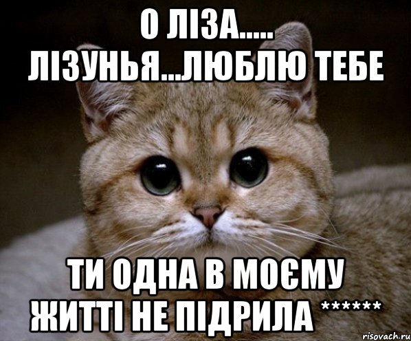 о ліза..... лізунья...люблю тебе ти одна в моєму житті не підрила ******, Мем Пидрила Ебаная