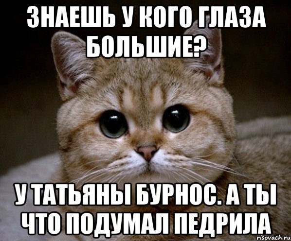 знаешь у кого глаза большие? у Татьяны Бурнос. А ты что подумал педрила, Мем Пидрила Ебаная