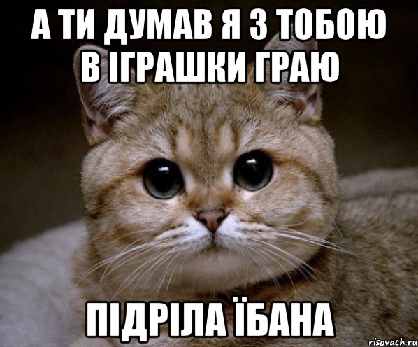 А ти думав я з тобою в іграшки граю підріла їбана, Мем Пидрила Ебаная