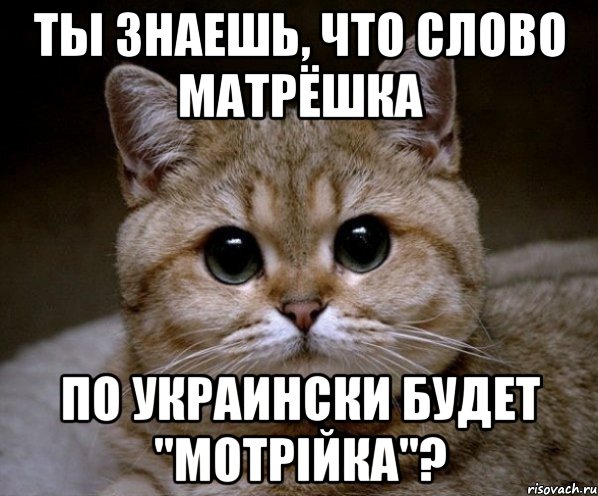 ты знаешь, что слово матрёшка по украински будет "мотрійка"?, Мем Пидрила Ебаная