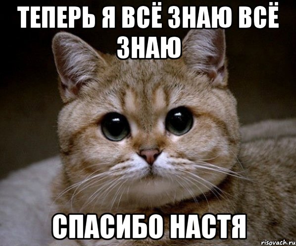 Все знаю. Спасибо Настя. Настя Пидрила. Настя спасибо большое. Спасибо картинки мемы.