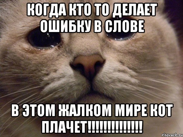 Когда кто то делает ошибку в слове в этом жалком мире КОТ ПЛАЧЕТ!!!!!!!!!!!!!!, Мем   В мире грустит один котик