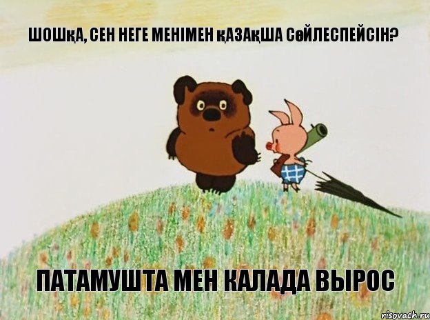 Шошқа, сен неге менімен қазақша сөйлеспейсін? Патамушта мен калада вырос